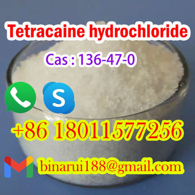 CAS 136-47-0 Cloridrato di tetracaina / Tetracaina HCl Materie prime farmaceutiche